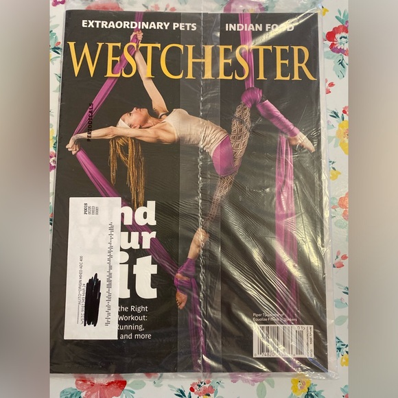 Bundle WESTCHESTER magazine lot of five all but one in plastic. NWT 2024 edition - Picture 2 of 11